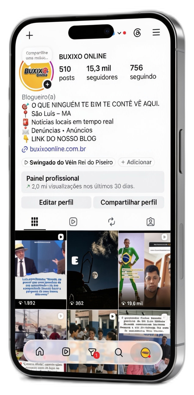 Perfil do Instagram @buxixoonline_